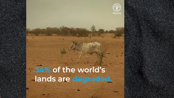 Drought and desertification