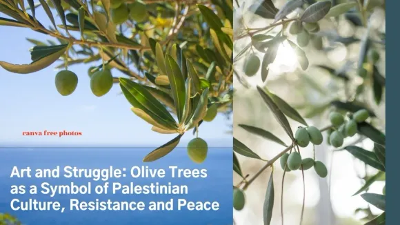 कला और संघर्ष: फिलिस्तीनी संस्कृति, प्रतिरोध और शांति के प्रतीक के रूप में जैतून के पेड़- काओइम्घिन  क्रोइडहेन