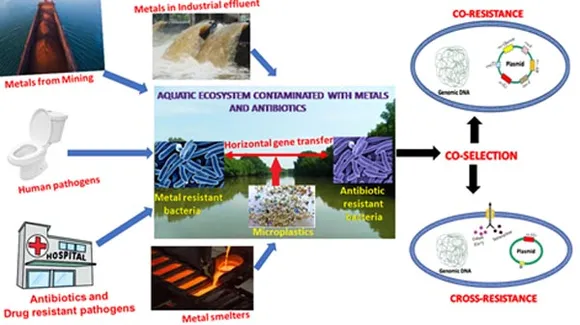 जीवाणुओं को एंटीबायोटिक-प्रतिरोधी बनाने के लिए जिम्मेदार कारक