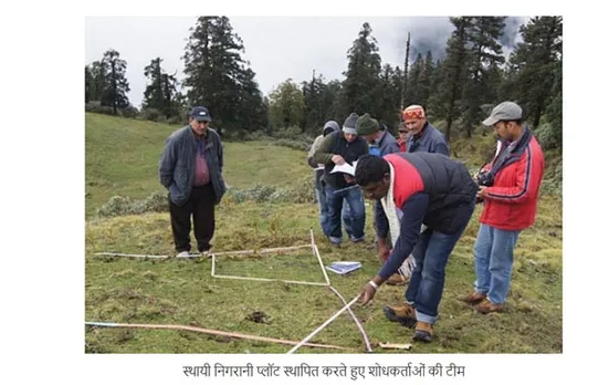 Lichen species may be helpful in monitoring climate change