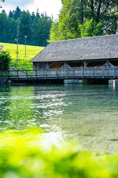Mold in House<br />
photograph of a building near a lake