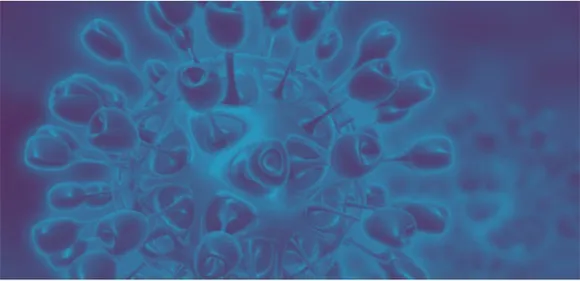 corona virus live update