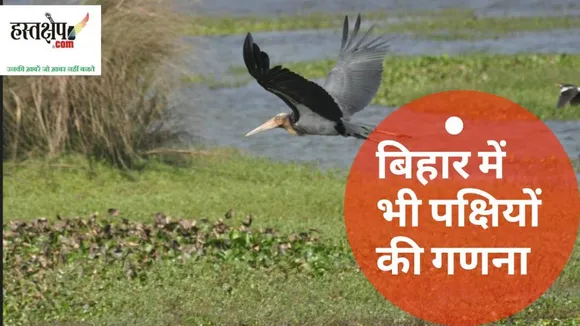 bird census in bihar under asian bird census