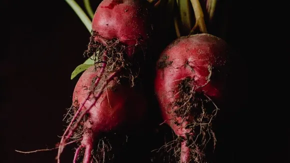 चुकंदर के स्वास्थ्य लाभ | Health Benefits of Beetroot in Hindi