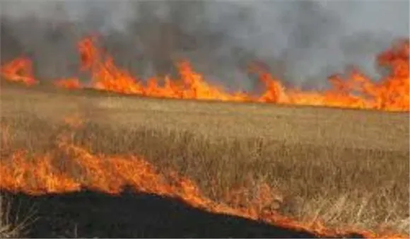पराली जलाने पर किसानों पर जुर्माना : किसान सभा ने किया विरोध