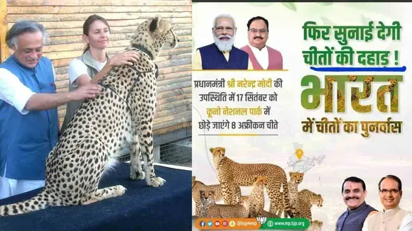 चीतों के आने के बाद उम्मीद है अब कुपोषण और मौतें रुकेंगी
