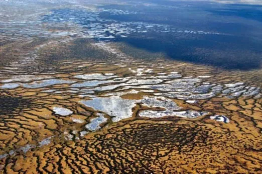 मोदी सरकार ने निकाला पर्यावरण नष्ट करने का आपदा में अवसर