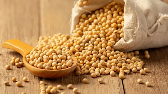 Soyabean