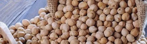 Advantage Of Eating Chana: जानिए चना खाने के कुछ अजब-गजब फायदे