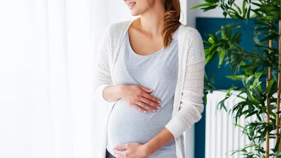 Pregnancy Secrets(FREEPIK)