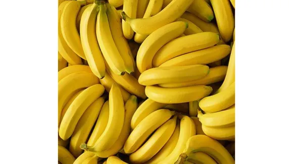 Banana Benefits: जानें सेहत को बेहतर बनाने के लिए केला के 5 फ़ायदे