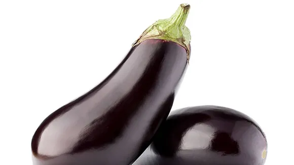 brinjal