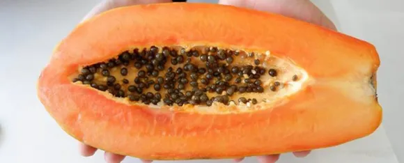 Papaya Seed Benefits : जानें पपीता के बीज से होने वाले फायदे