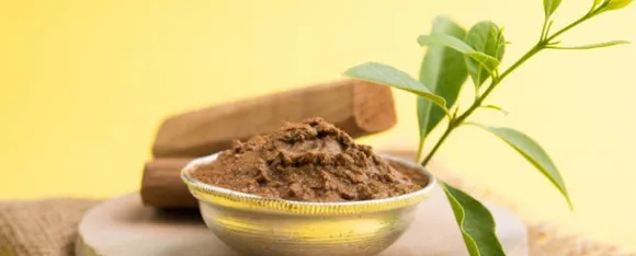 Chandan Powder Benefits: जानिए चंदन पाउडर से होने वाले फायदे