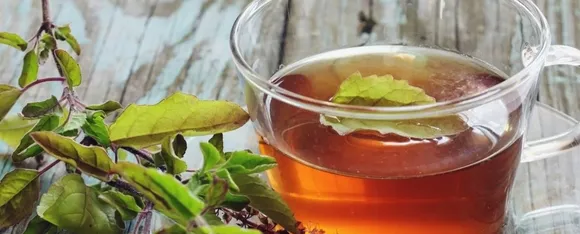 Tulsi Tea Benefits: तुलसी की चाय के 5 बडे़ फायदे