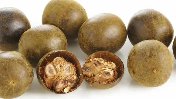 Monkfruit आपके Protein Powder को कैसे सशक्त बनाता है?