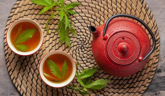 Marijuana Tea: जानिए मैरिजुआना टी के हेल्थ बेनिफिट्स