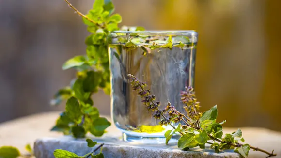 Tulsi leaves: तुलसी के पत्तों के स्वास्थ्य पर क्या फायदे हैं