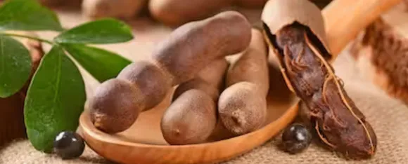 Benefits Of Tamarind: जानिये अच्छी सेहत के लिए इमली के 5 फायदे