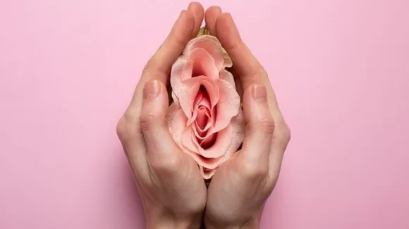 Understanding the Difference Between Vagina and Vulva
