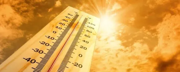 Summer Problems: गर्मियों में बढ़ती हैं त्वचा और पाचन संबंधी समस्याएं