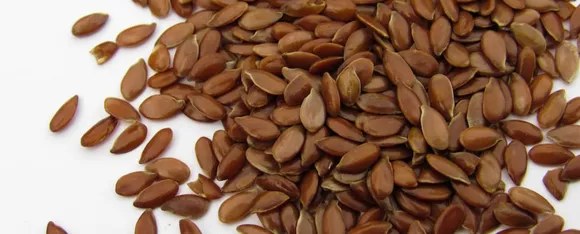 Flaxseeds: महिलाओं को जरूर खाना चाहिए अलसी, जानें कुछ बड़े फायदे