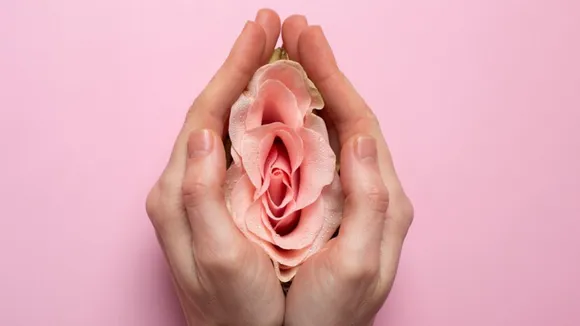Vaginal Care Tips: वजाइना की केयर करते समय इन बातों का रखें ध्यान