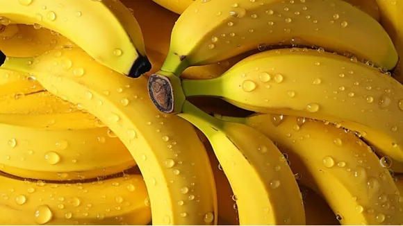 Banana Breakfast: केले को नाश्ते में शामिल करने के 5 हेल्दी तरीके