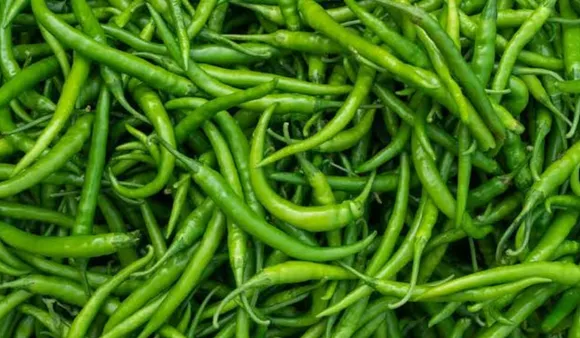Chilli Benefits: जानिए क्या फायदे हैं हरी मिर्च खाने के