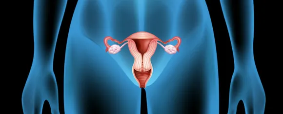 Vagina Care : महिलाएं वजाइना की देखभाल कैसे कर सकती हैं