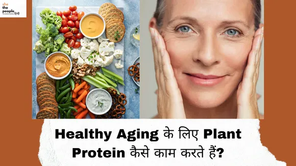 Healthy Aging के लिए Plant Protein कैसे काम करते हैं?