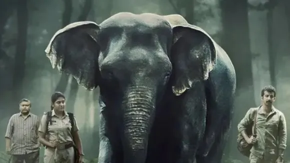 Poacher Trailer: आलिया भट्ट और रिची मेहता ने किया करोड़ों के अपराध का पर्दाफाश!