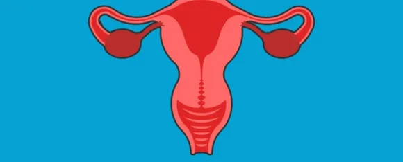 Healthy Vagina : जानें स्वस्थ वजाइना के लिए 6 टिप्स
