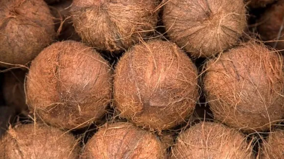Coconut Peel Benefit: नारियल के छिलके के 5 फायदे ऐसे करें उपयोग