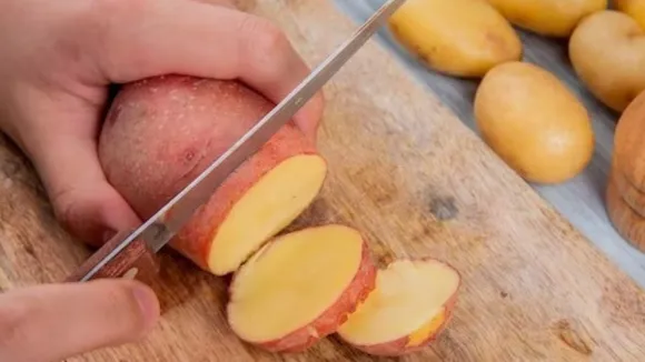 Sweet Potato Benifits: सर्दियों में शकरकंदी खाने के फायदे