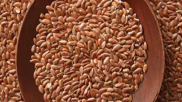 Flaxseeds: जानें सर्दियों में अलसी खाने के क्या हैं 7 फ़ायदे