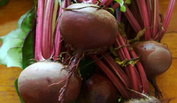 Beetroot Benefits : महिलाओं की त्वचा के लिए चुकंदर के 10 फ़ायदे