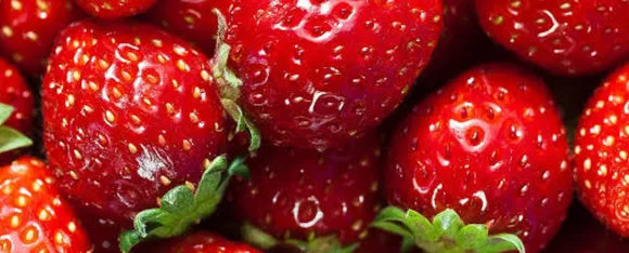 Benefits Of Strawberry: हड्डियों के स्वास्थ्य को स्ट्रॉबेरी रखे ठीक