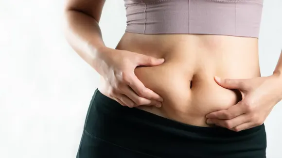 Belly Fat: मोटापे से परेशान हैं तो आयुर्वेद को अपनाकर बेली फैट कम करने की कोशिश करें