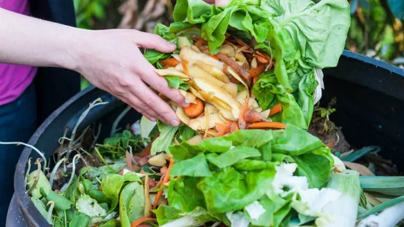 Food Waste: घर पर खाने की बर्बादी को कम करने के लिए टिप्स