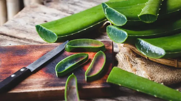 Aloe Vera Health Benefits: महिलाओं की सेहत पर एलोवेरा का जादू