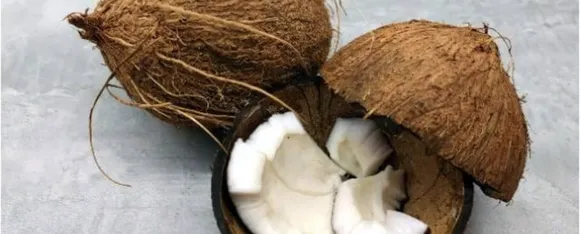 Coconut Benefit: कच्चा नारियल खाने के हैं फायदे अनेक