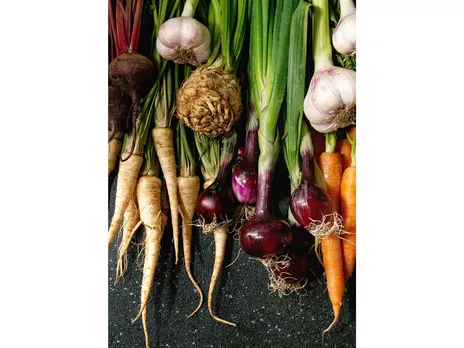 Root Vegetables: हेल्थ के लिए फायदेमंद हैं ये रूट वेजिटेबल्स