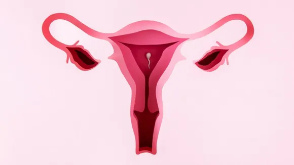 Female Body: महिलायें अपने Uterus को हेल्थी रखने के लिए अपना सकती हैं यह टिप्स
