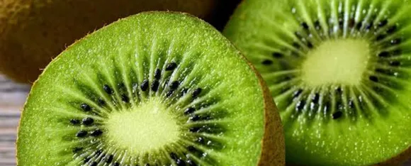 Kiwi Fruit Benefits: पोषक तत्वों से भरपूर है कीवी फल