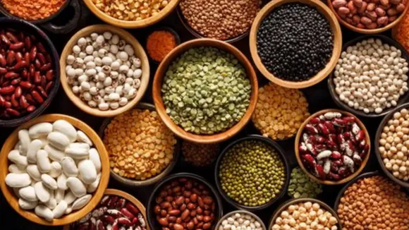 5 कारण क्यों Plant-Based Protein आपके लिए है!