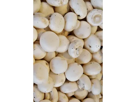 Mushrooms: जानिए मशरूम खाने से मिलने वाले हेल्थ बेनेफिट्स