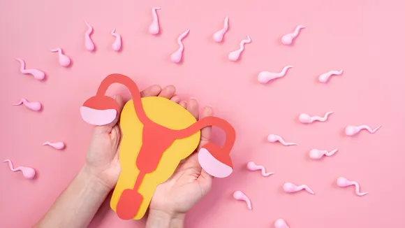 Period Sex: क्या पीरियड्स में सेक्स करने से हो सकती हैं आप प्रेगनेंट?