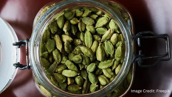 How Green Cardamom Is Beneficial In Womens Sexual Life