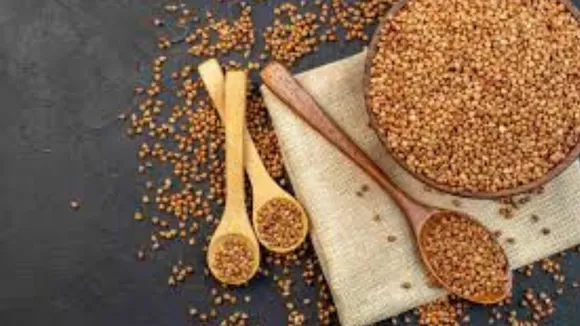 fenugreek seeds